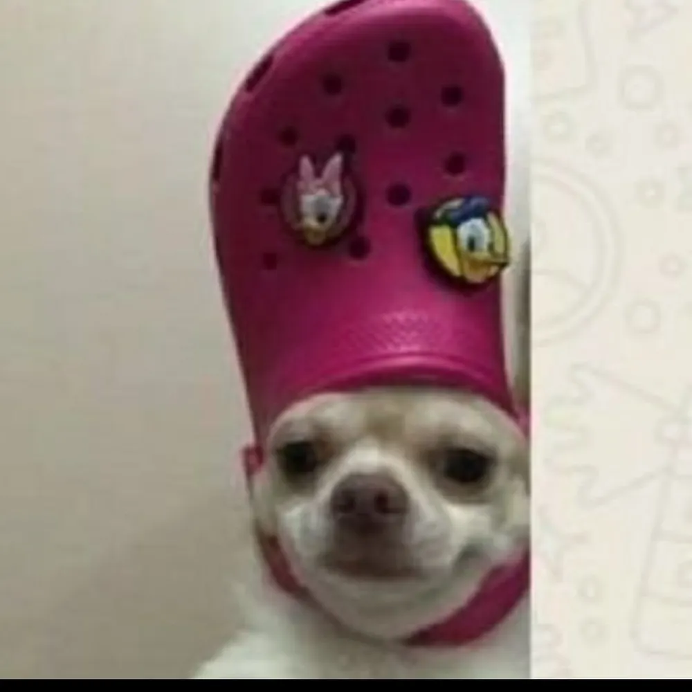 marquesabandida.bsky.social's profile picture