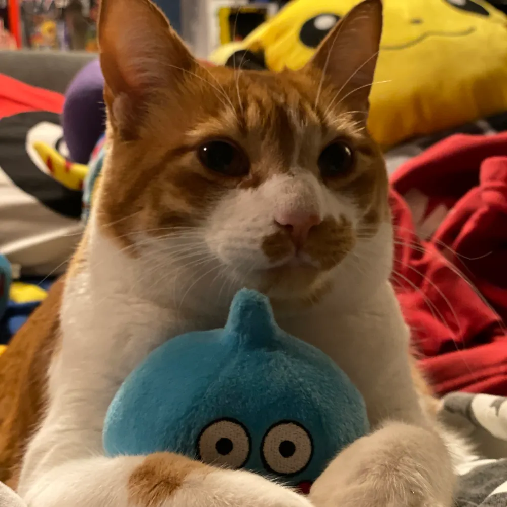 queenslime.bsky.social's profile picture