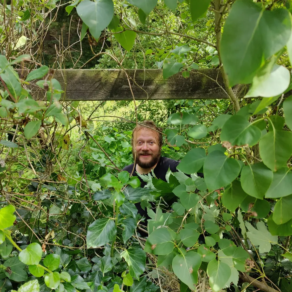 davstott.bsky.social's profile picture