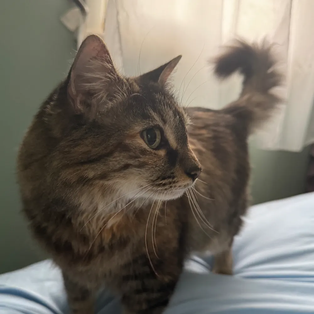 natalieshitposts.bsky.social's profile picture