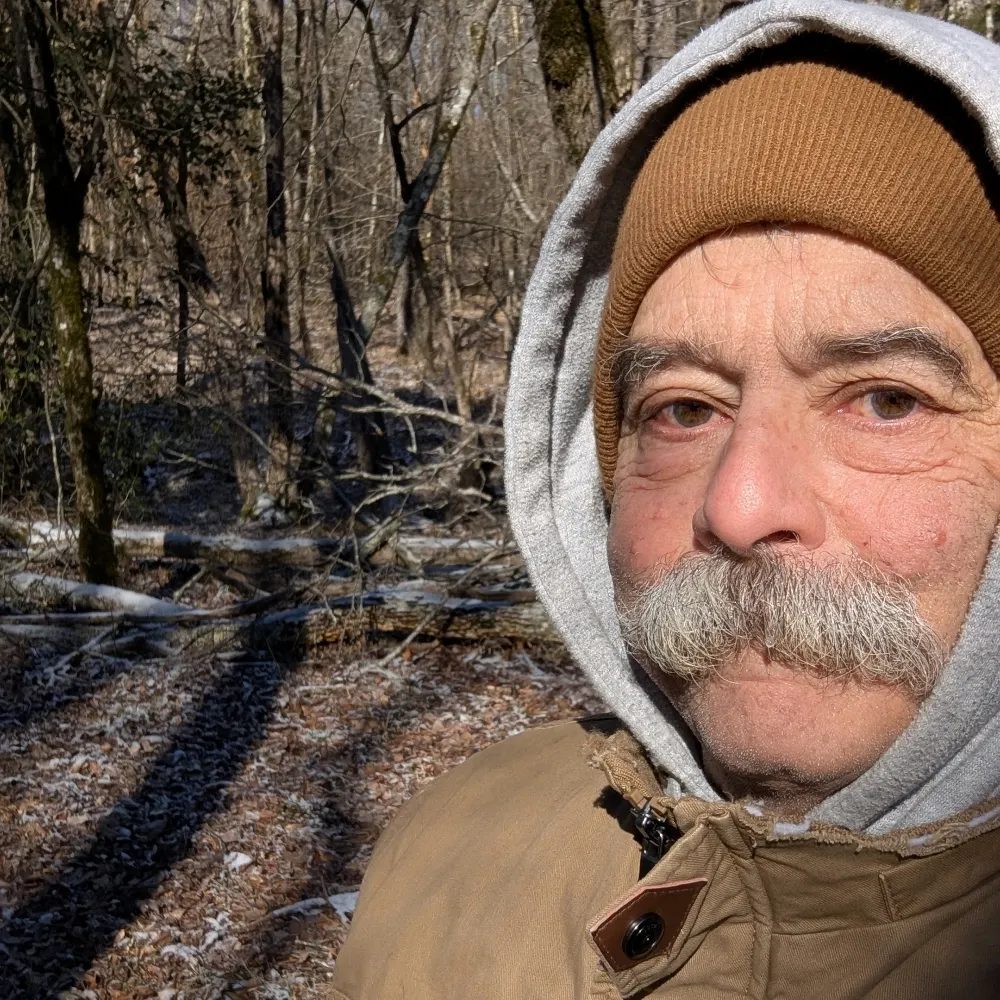 tewing.bsky.social's profile picture