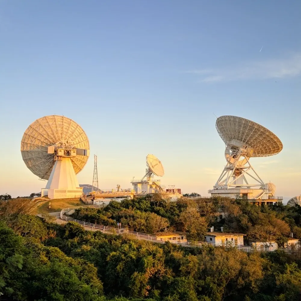 danni.id's profile picture