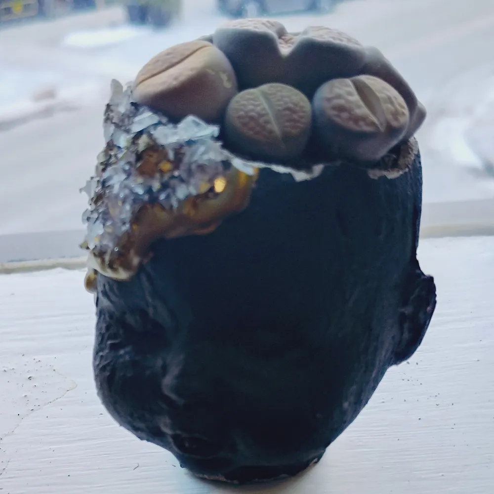 thislooksinfected.bsky.social's profile picture