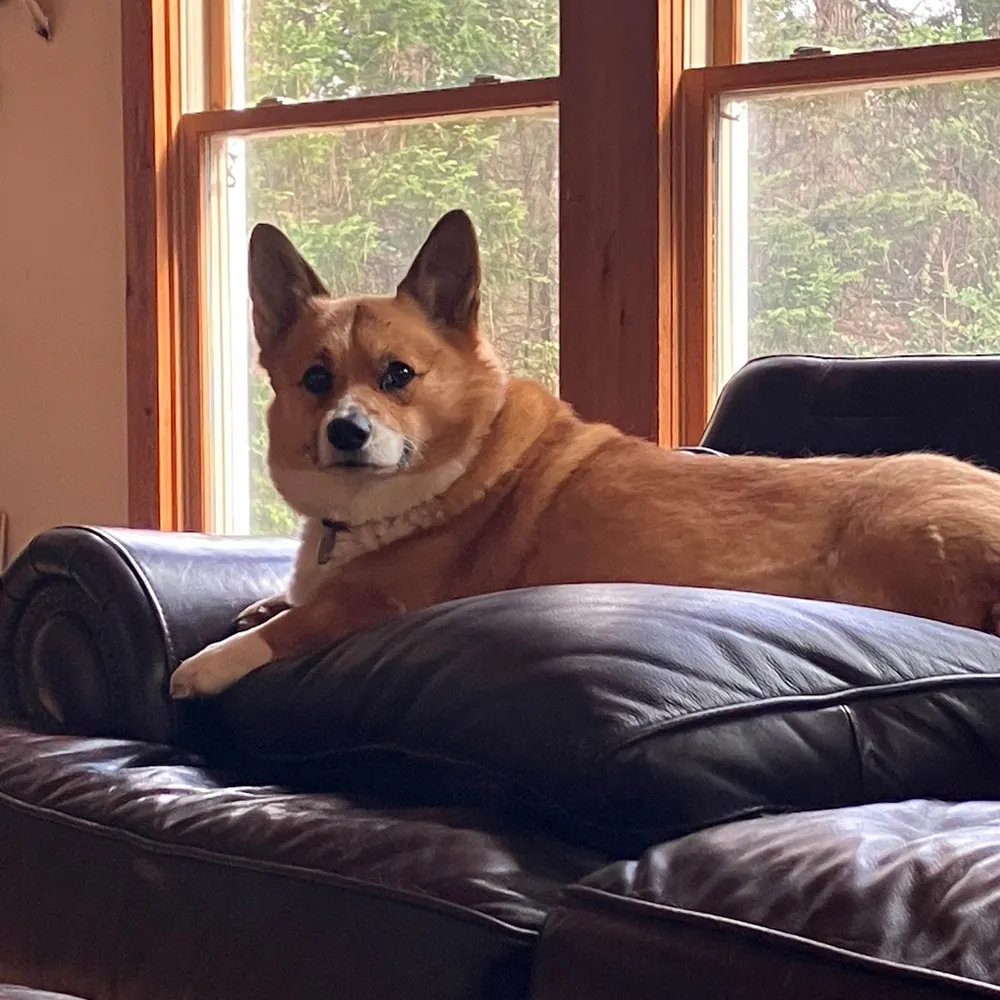 xhaustedbyx.bsky.social's profile picture