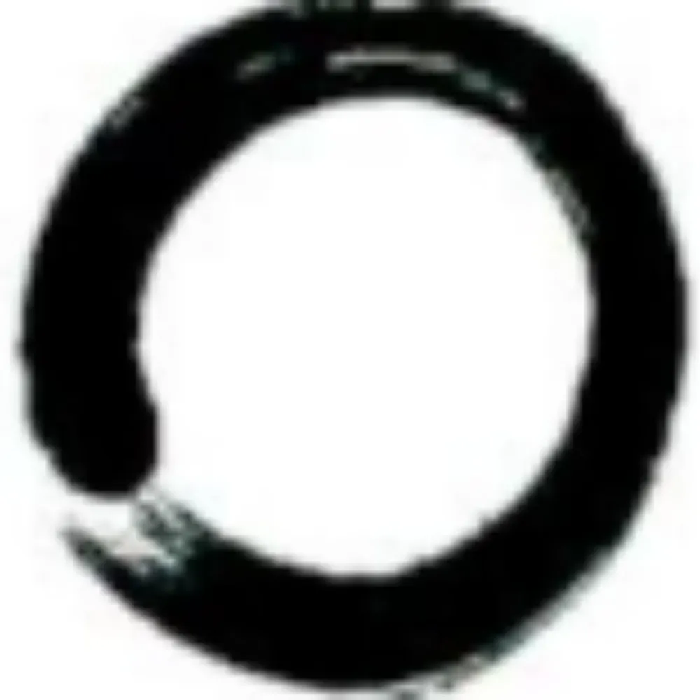 bodhidave.bsky.social's profile picture