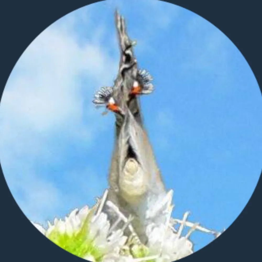 biobabbler.bsky.social's profile picture