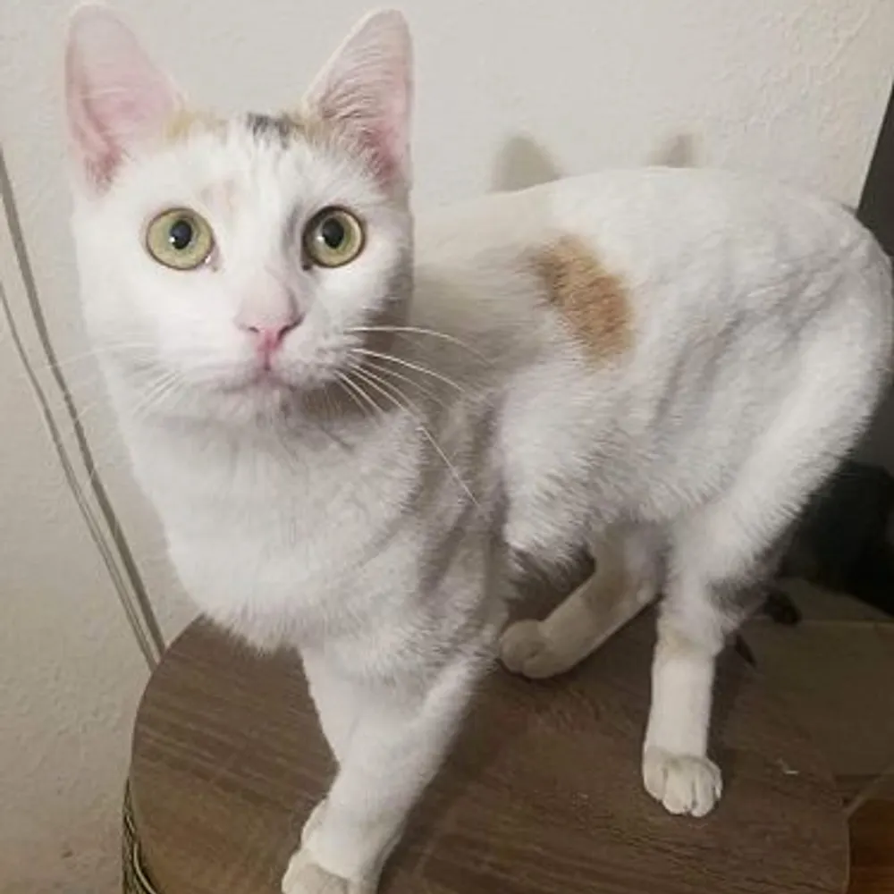 jsockwell.bsky.social's profile picture