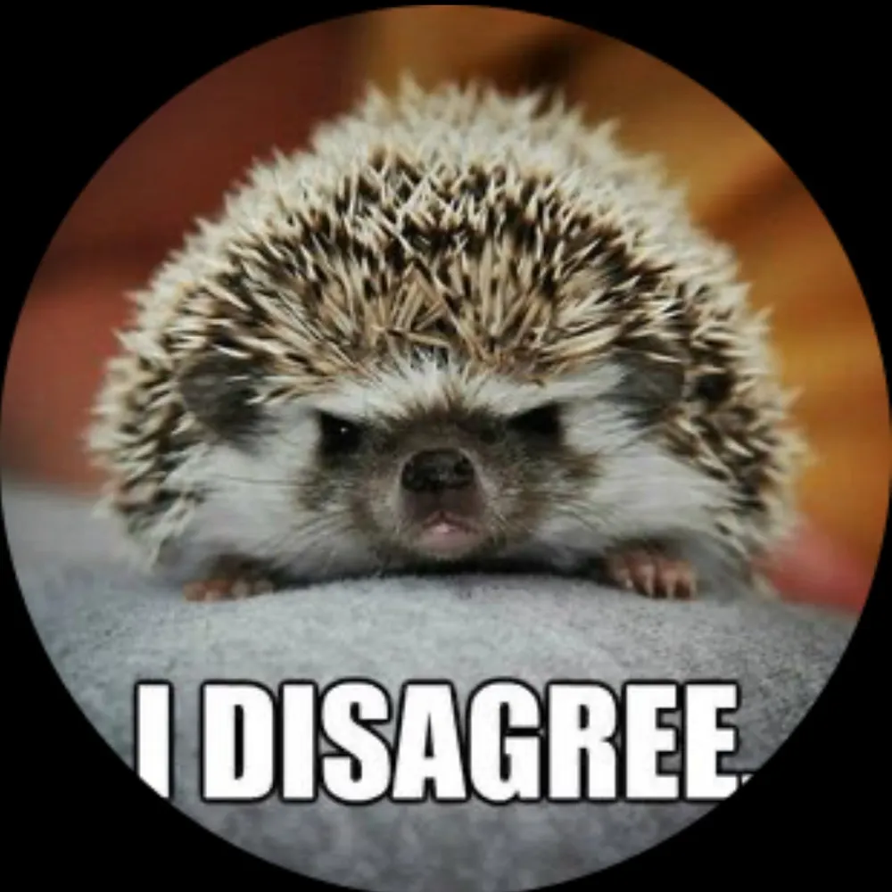 zjbardou.bsky.social's profile picture