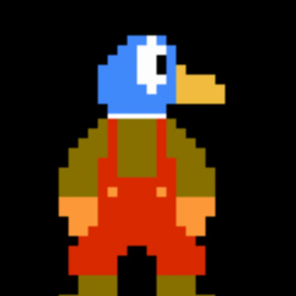 plumberduck.bsky.social's profile picture