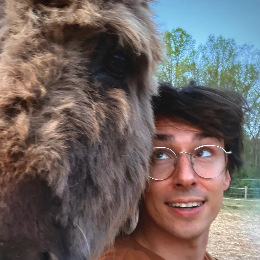 dame.is's profile picture