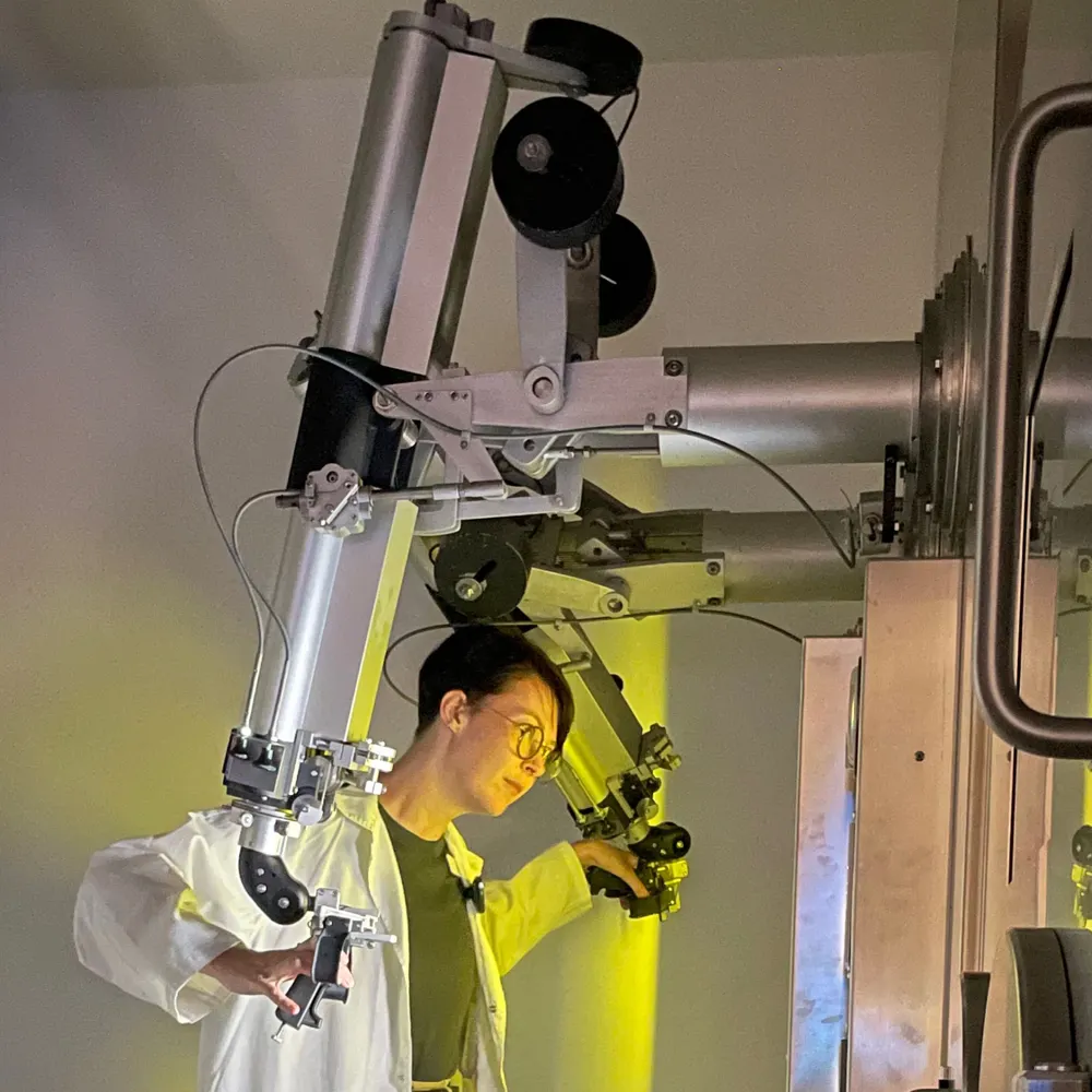 talzir.bsky.social's profile picture