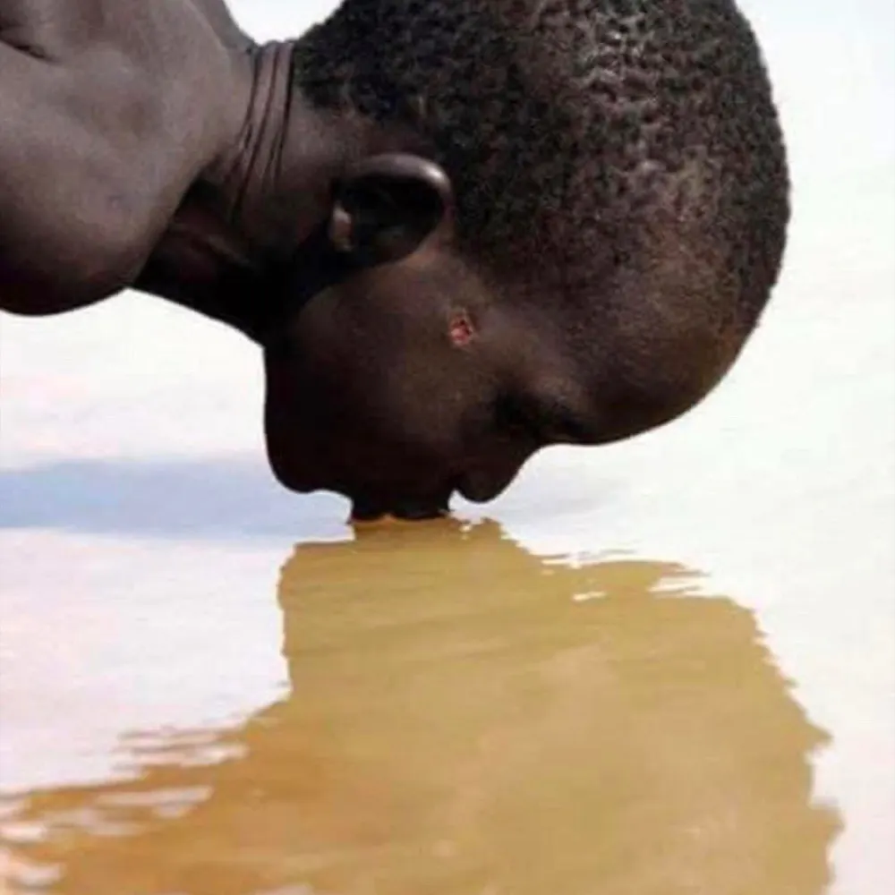 koolaid80.bsky.social's profile picture