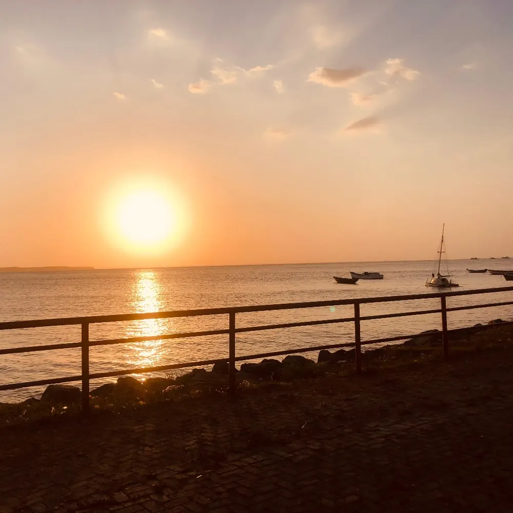 ruanenzo.bsky.social's profile picture