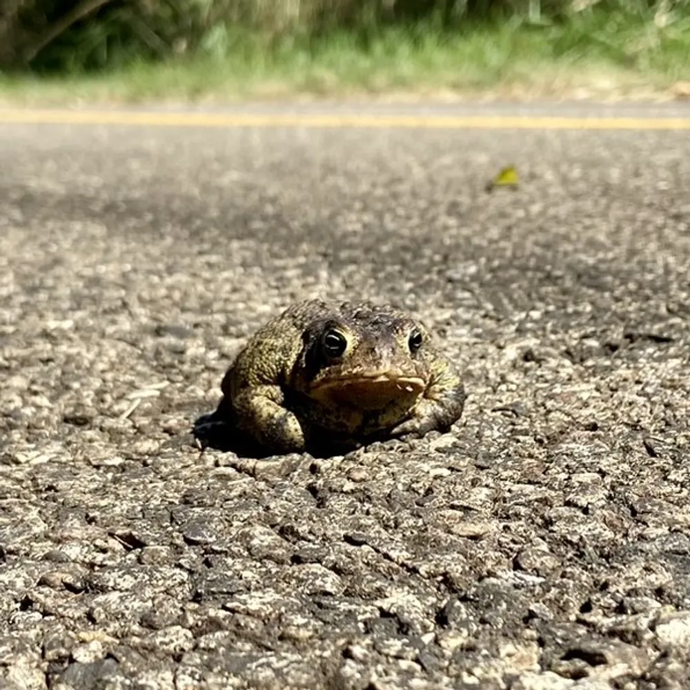 jmd5120.bsky.social's profile picture