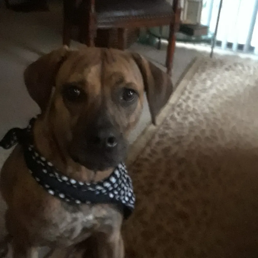 kathpadden.bsky.social's profile picture