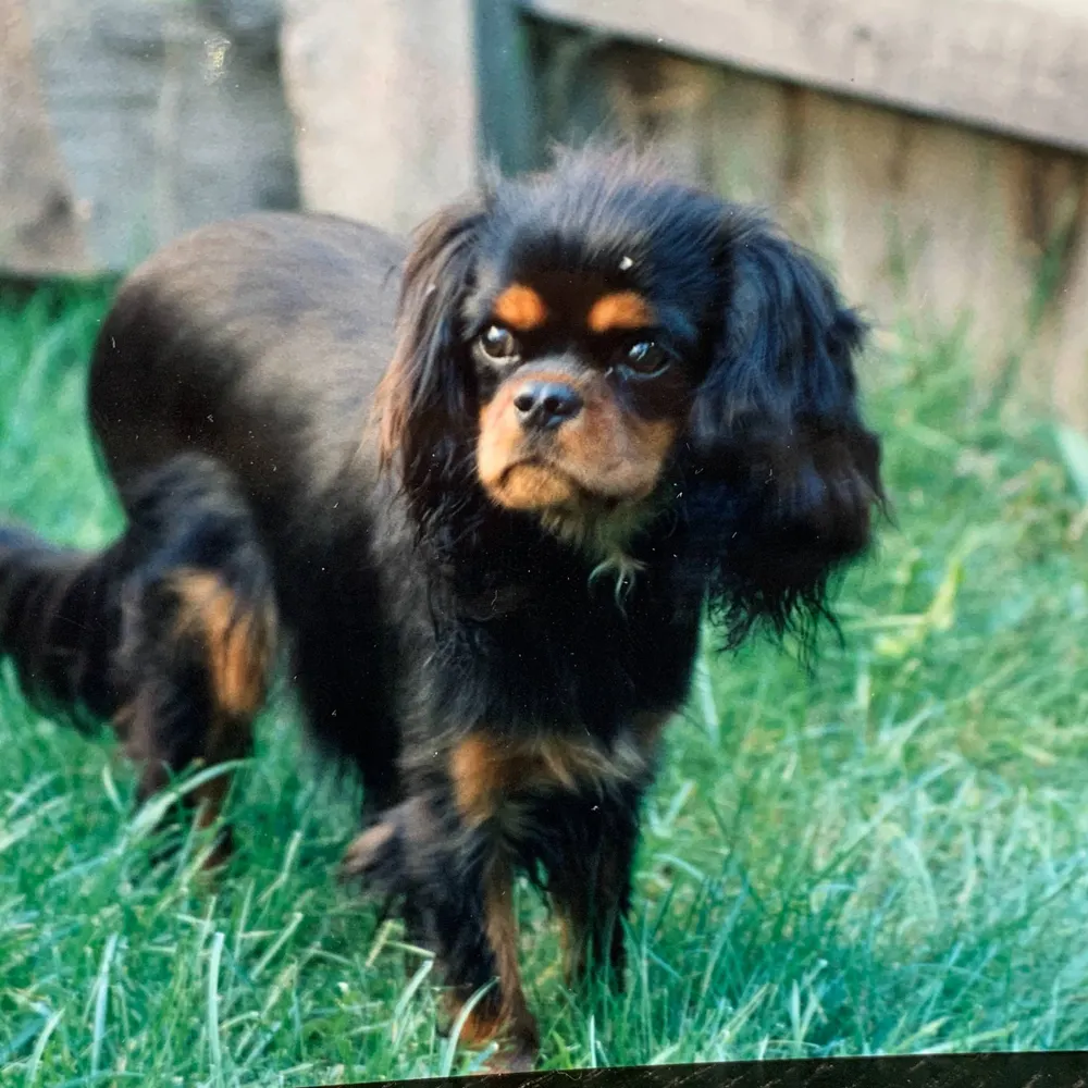 kathrynkatiekwrites.substack.com's profile picture