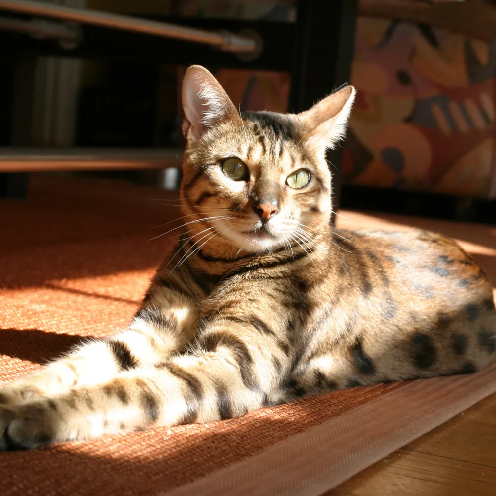 kellylmiller.bsky.social's profile picture