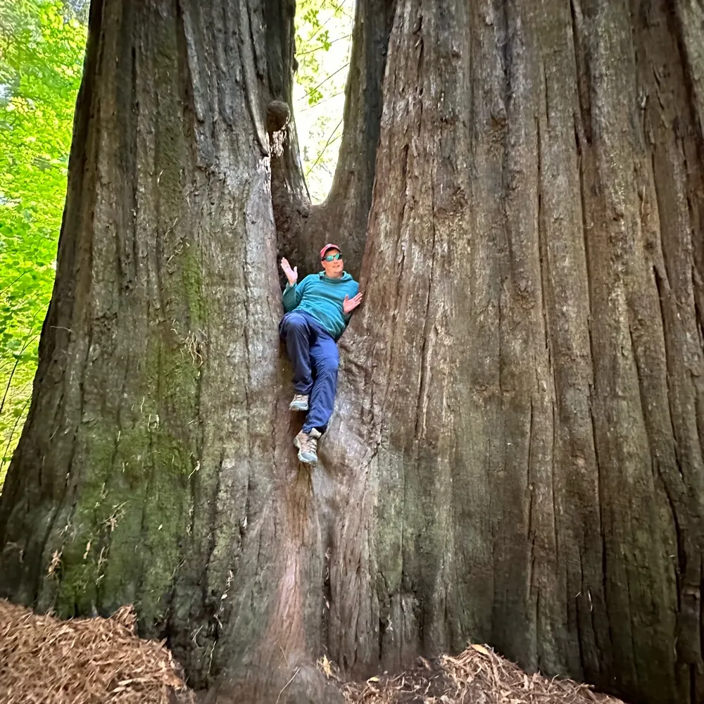 craigbrown552.bsky.social's profile picture