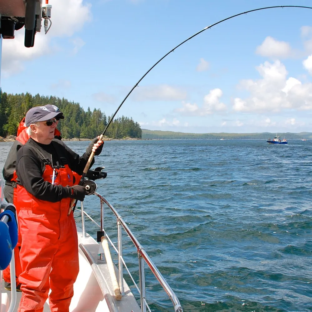 davidcares.bsky.social's profile picture