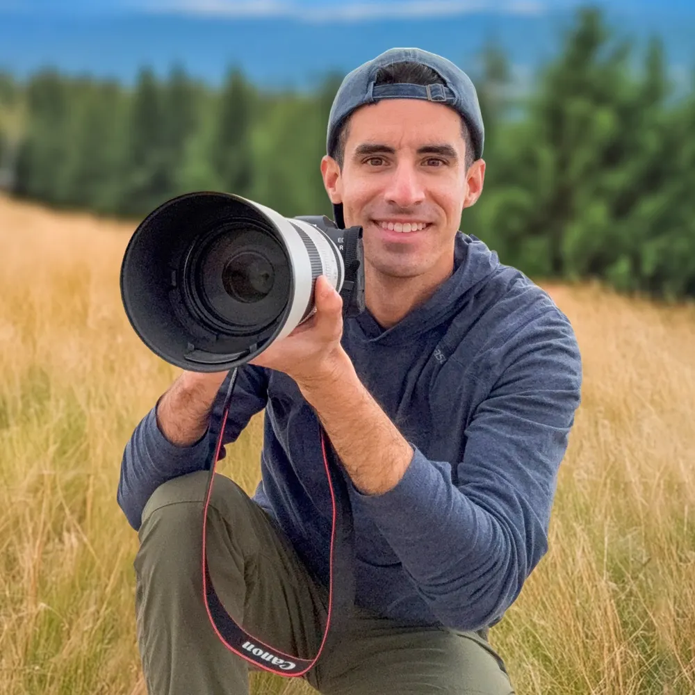 birdsbyalex.bsky.social's profile picture