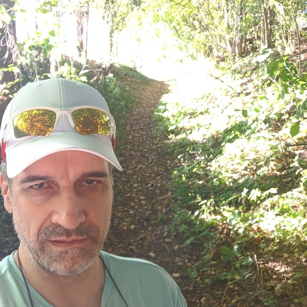 aiformal.bsky.social's profile picture