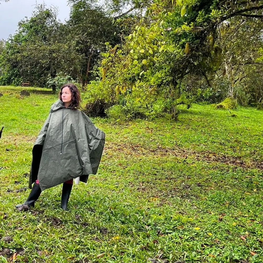 etidequenvesendo.bsky.social's profile picture