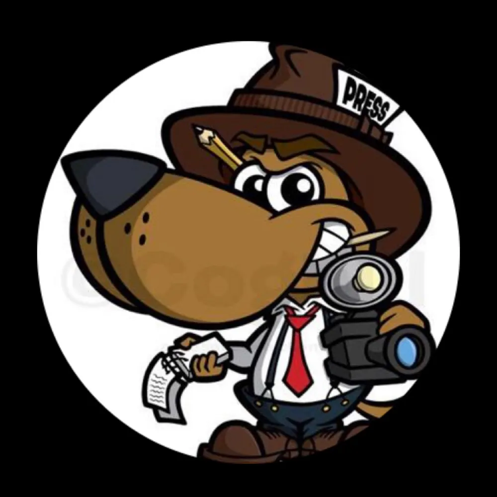 frankjones25.bsky.social's profile picture