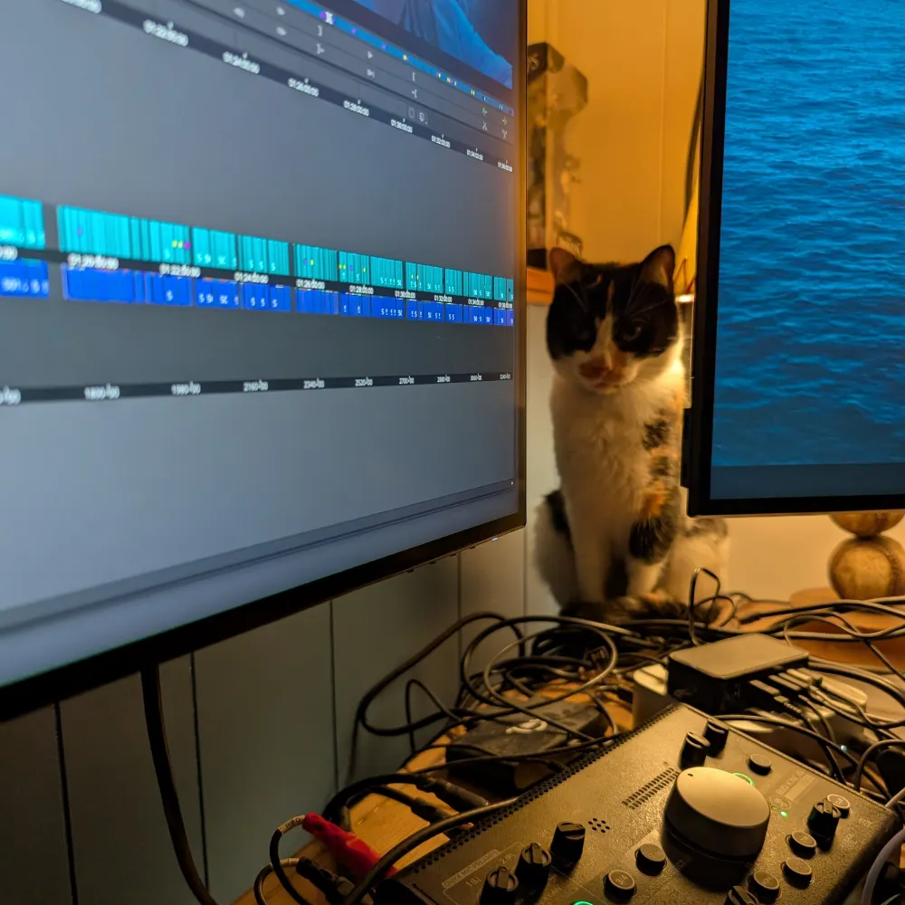 timquackenbush.bsky.social's profile picture