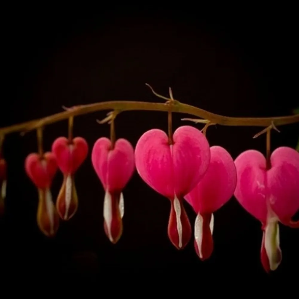 scoutprime.bsky.social's profile picture