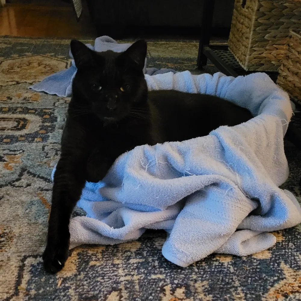 lwumom.bsky.social's profile picture