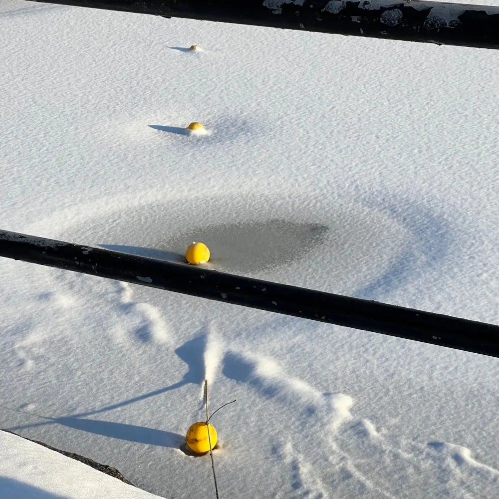 sylviehurat.bsky.social's profile picture