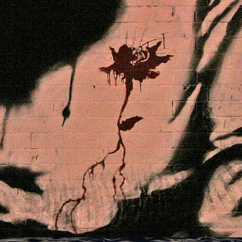 t3rfh.bsky.social's profile picture