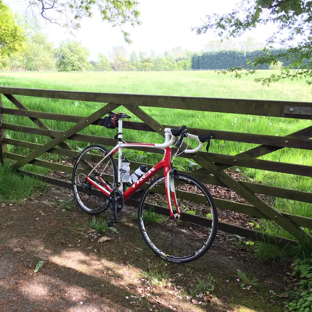 foreversideways.bsky.social's profile picture