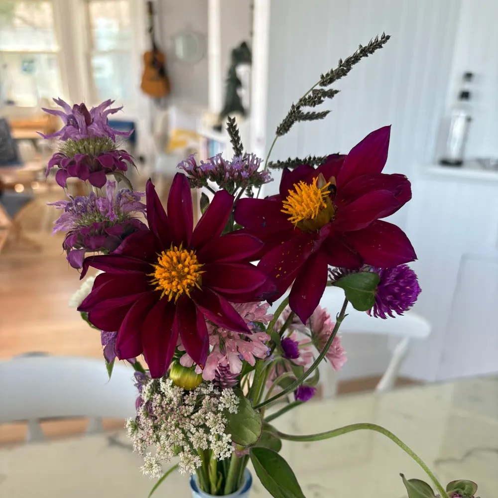 jooltman.bsky.social's profile picture