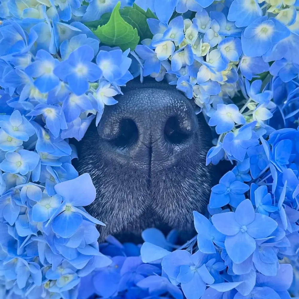 ersiliaclotilde.bsky.social's profile picture