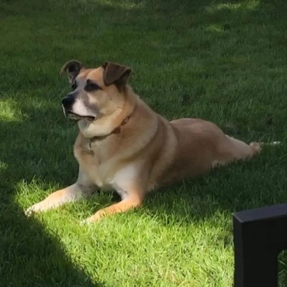 08mms.bsky.social's profile picture