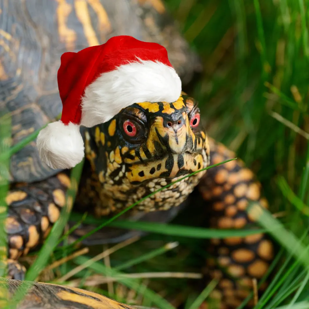 afamiglietti.bsky.social's profile picture