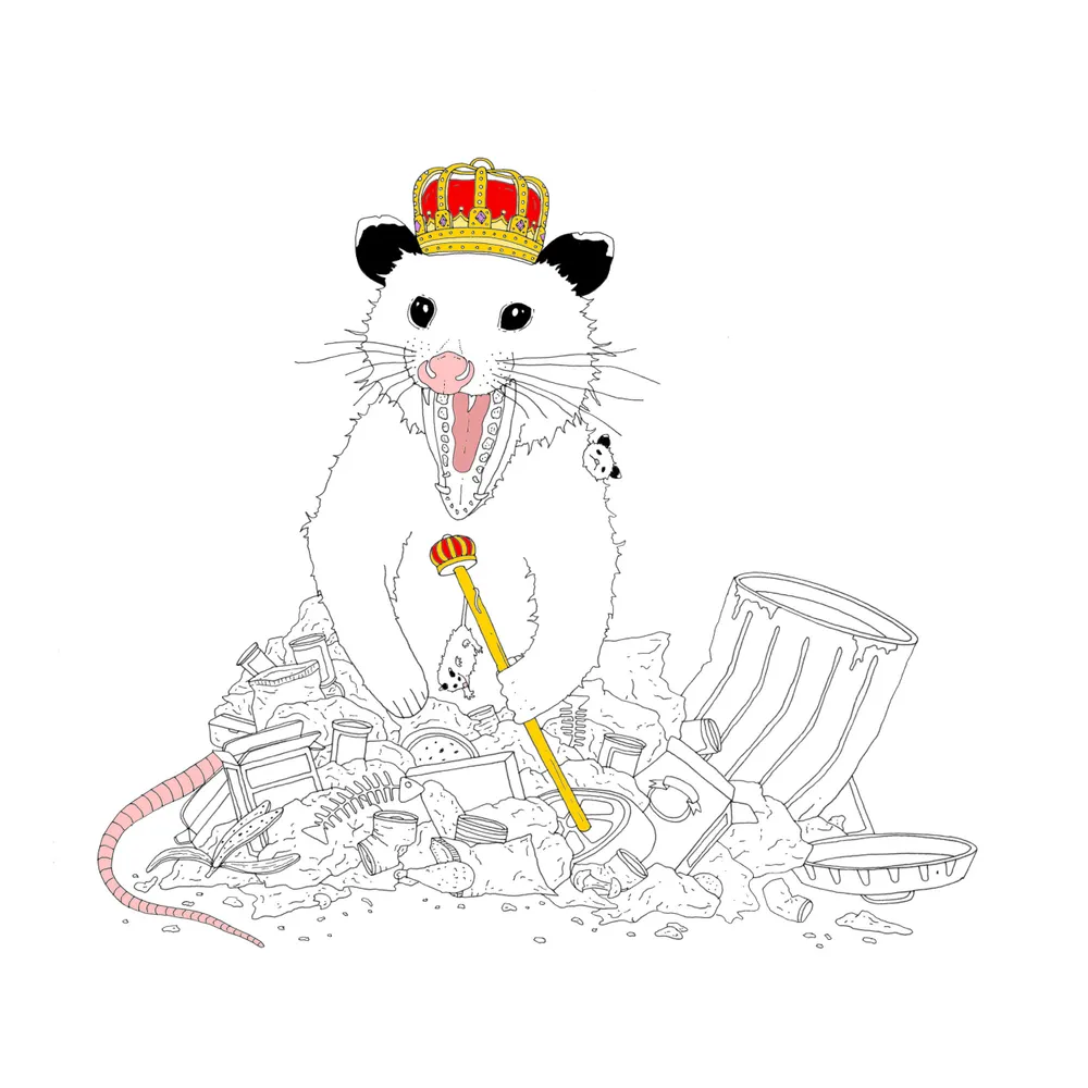 dragynwing.bsky.social's profile picture