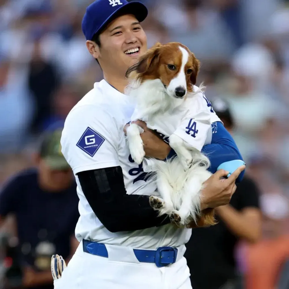 queenattolia13.bsky.social's profile picture