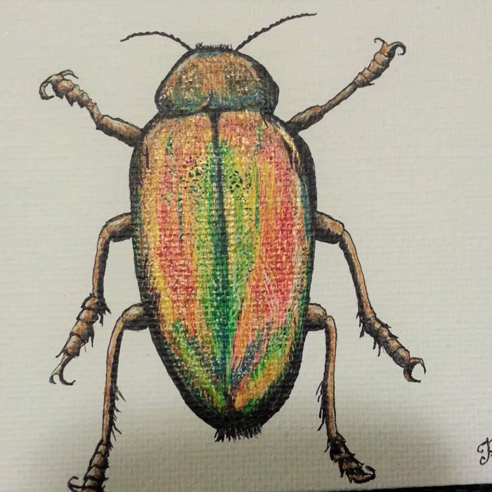 premeemohamed.com's profile picture