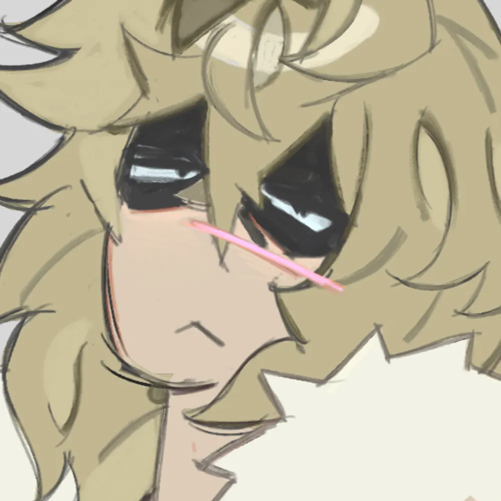 tonhru.bsky.social's profile picture