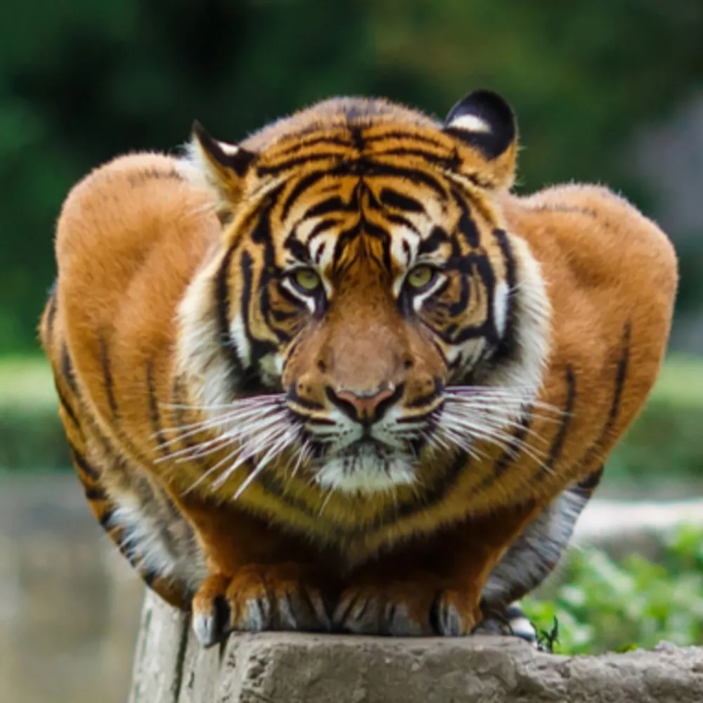 itone.bsky.social's profile picture