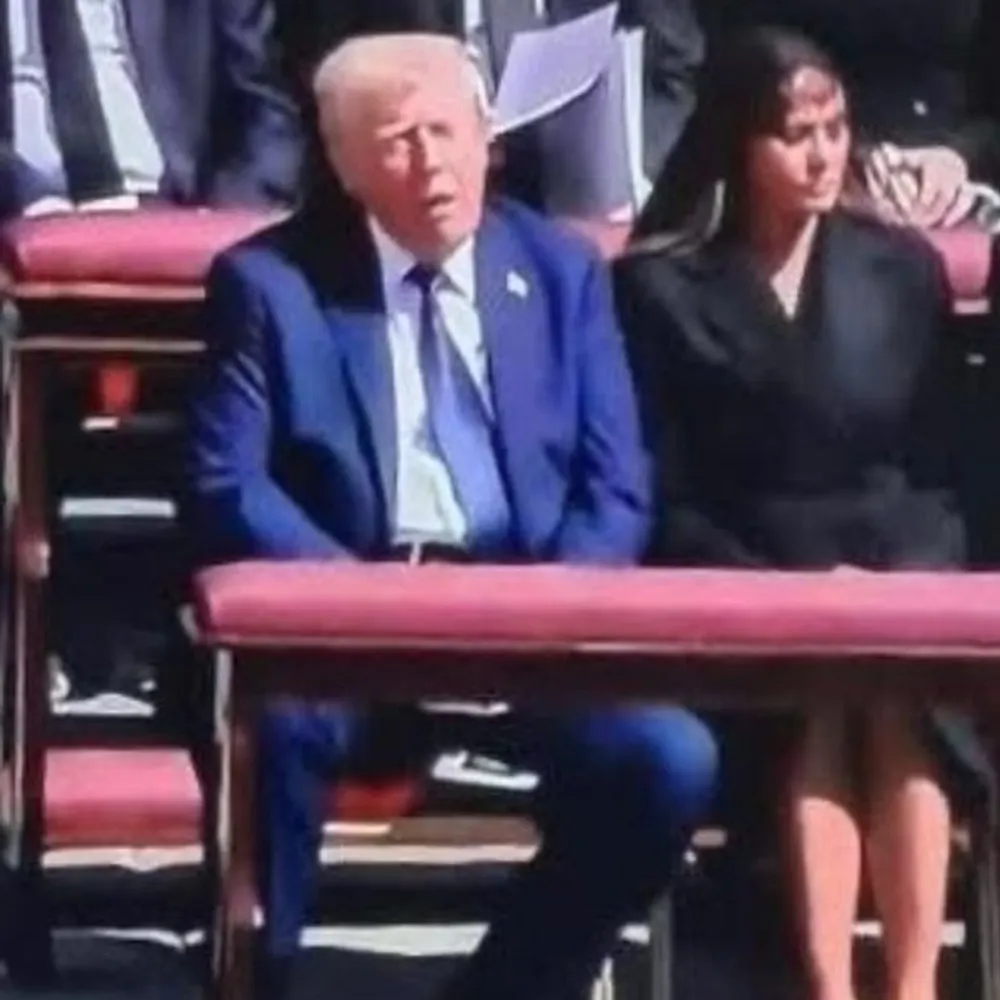 trumpisnazi.bsky.social's profile picture