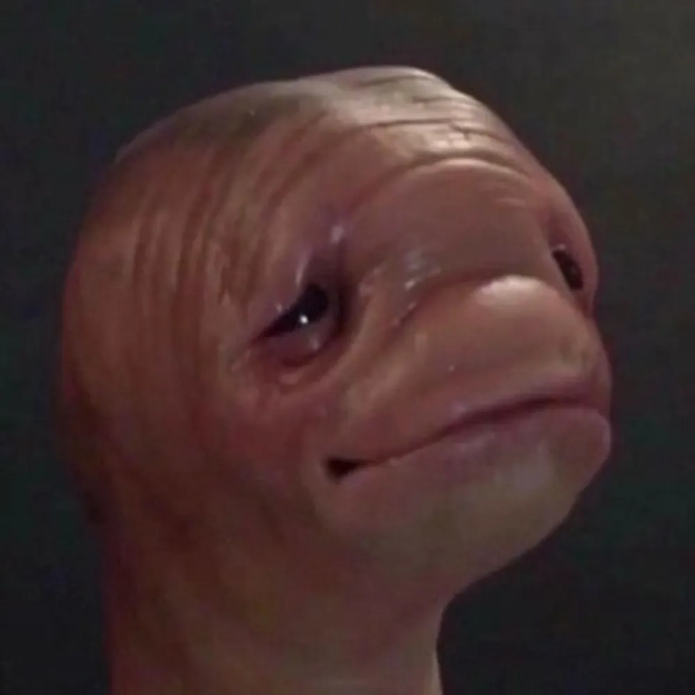 vinesauceclips.bsky.social's profile picture