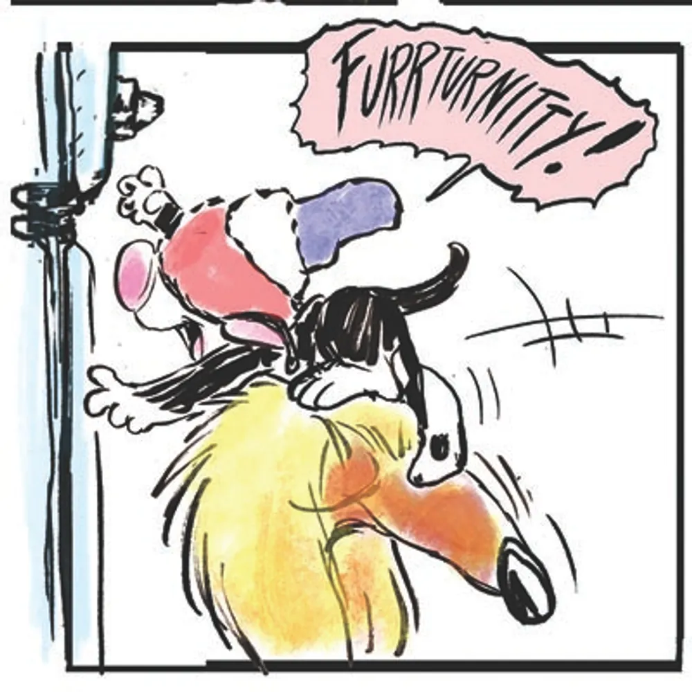 beiman-nancy.bsky.social's profile picture