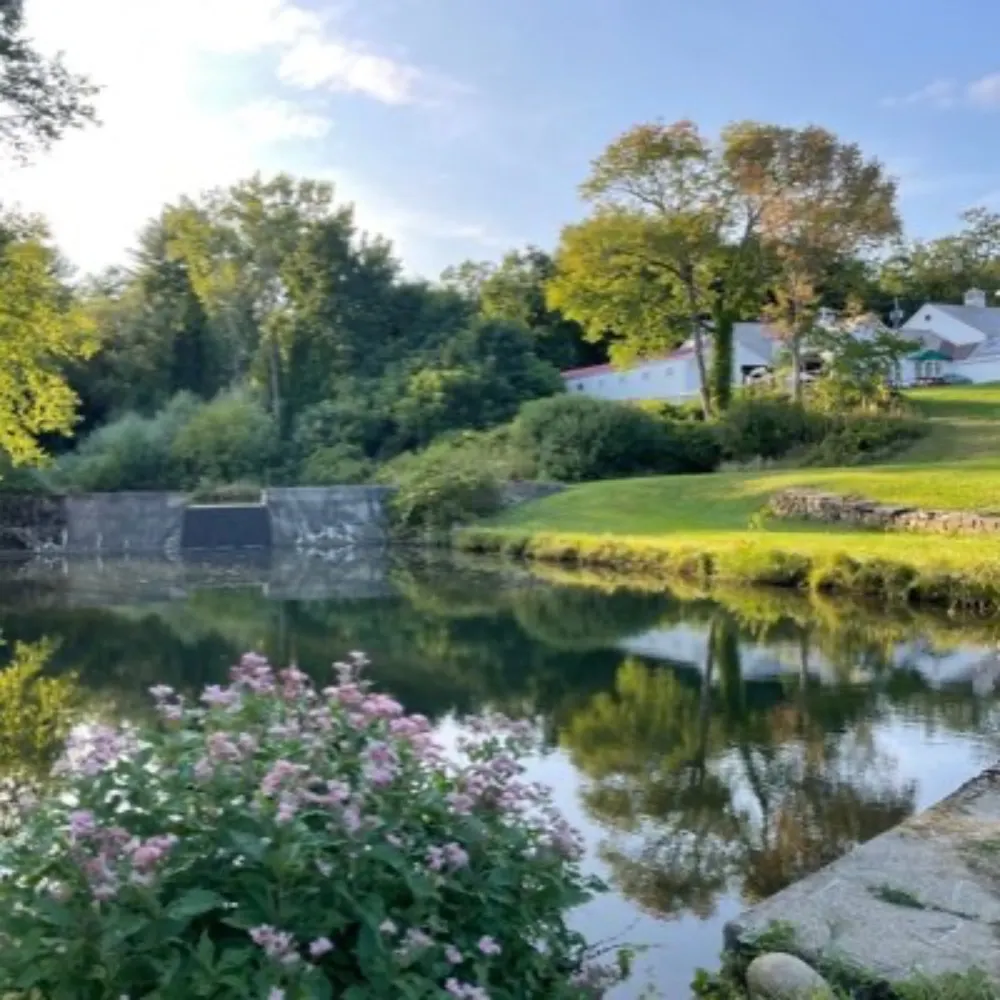 palomar-qfwfq.bsky.social's profile picture