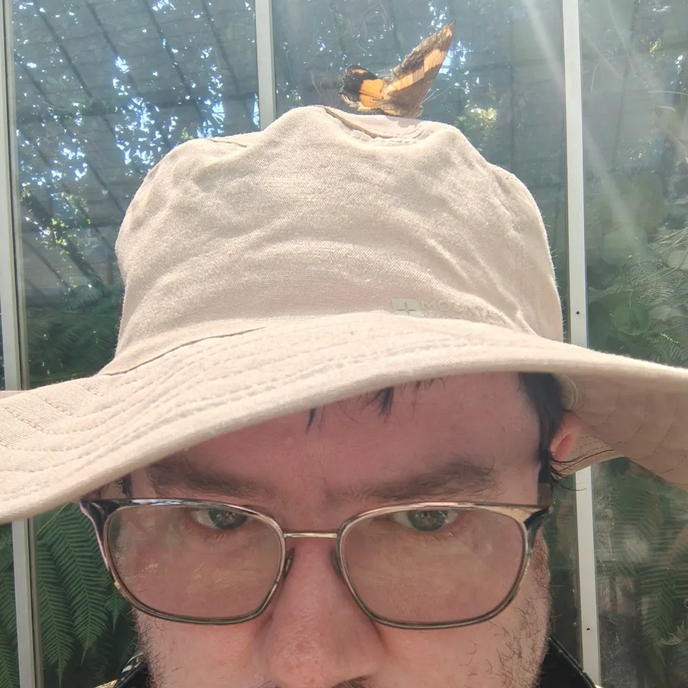 damienevans.bsky.social's profile picture