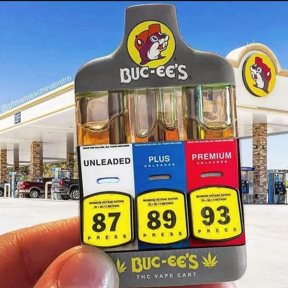 zikato.bsky.social's profile picture