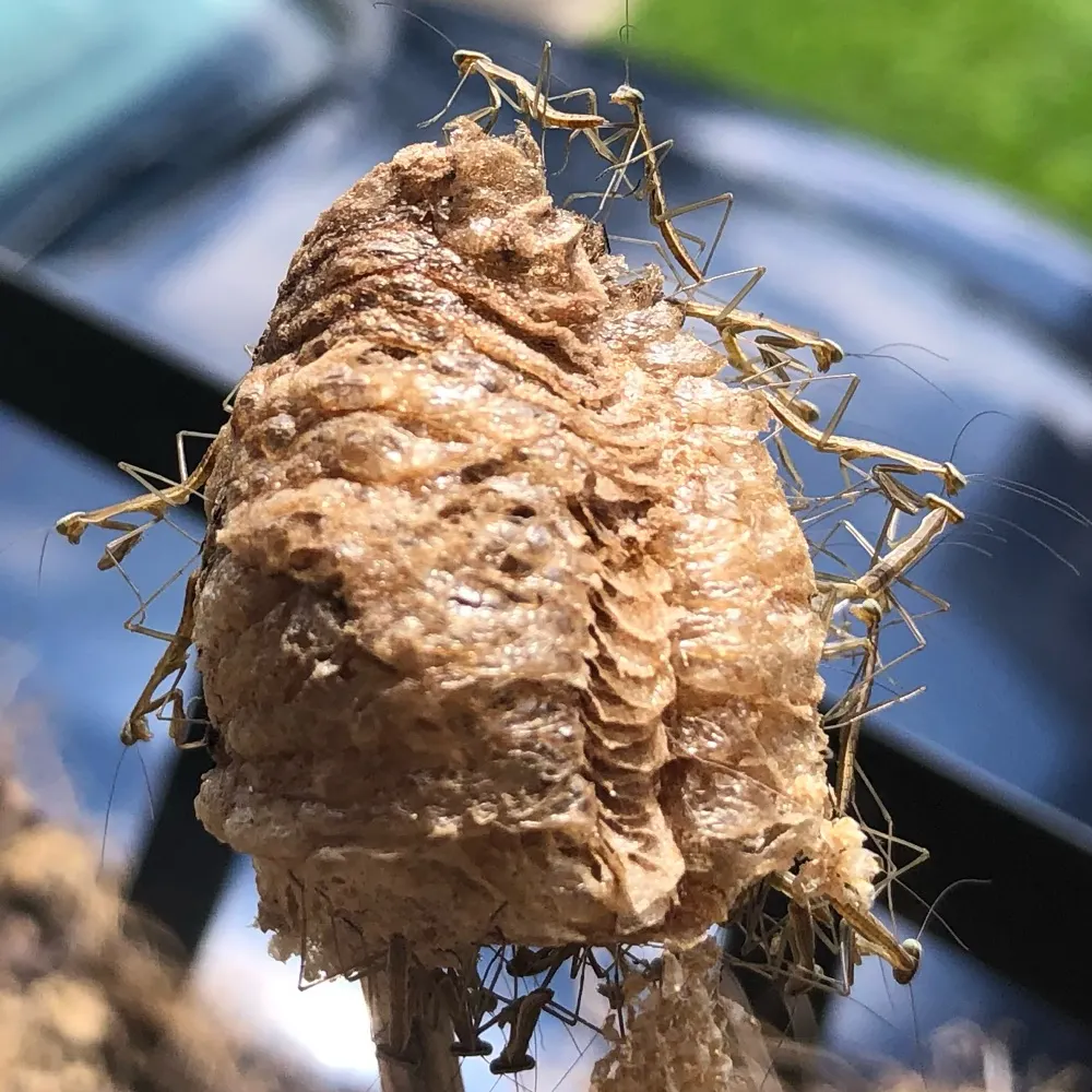 mikebrode.bsky.social's profile picture