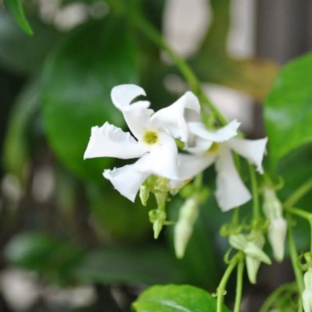 grania3.bsky.social's profile picture